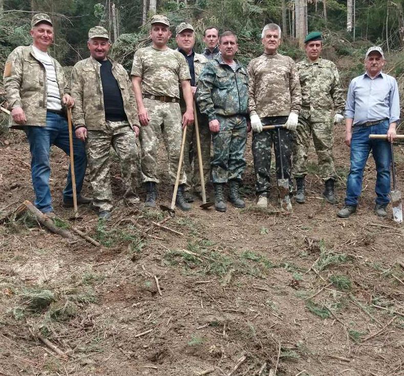 Надсянське л во посадка л.культур 3