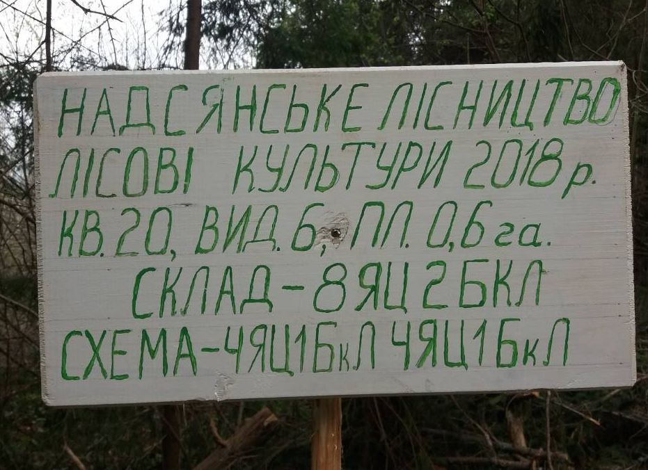 Надсянське л во посадка л.культур 4